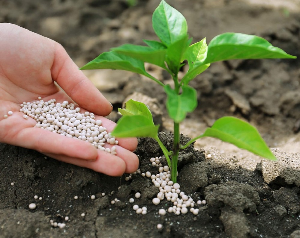Pesticide Fertilizer